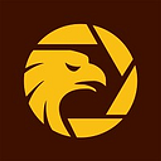 FinForce FX logo